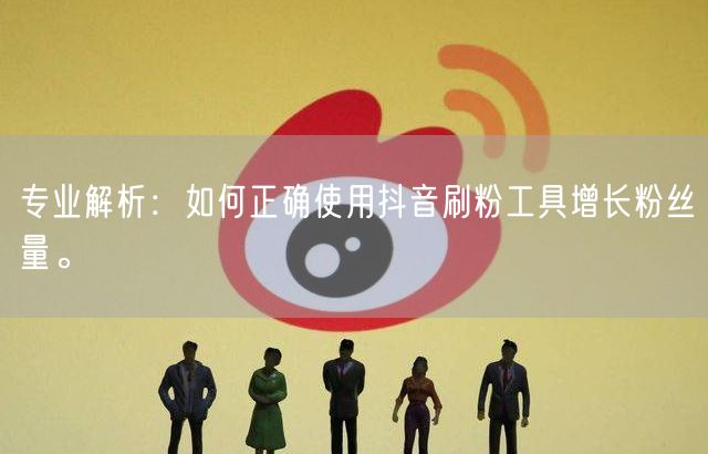 专业解析：如何正确使用抖音刷粉工具增长粉丝量。